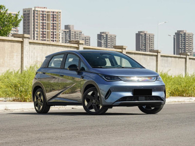 BYD Dolphin Фото №3